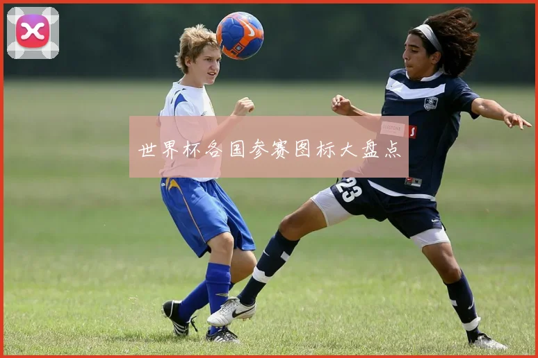 世界杯各国参赛图标大盘点