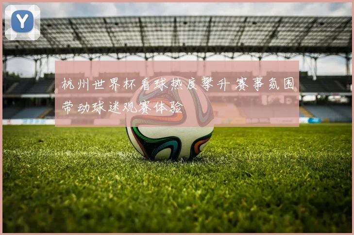 杭州世界杯看球热度攀升 赛事氛围带动球迷观赛体验