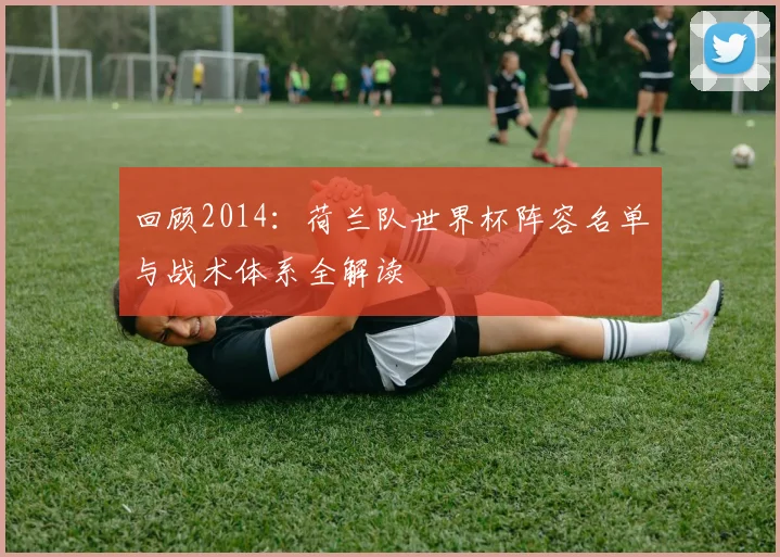 回顾2014:荷兰队世界杯阵容名单与战术体系全解读
