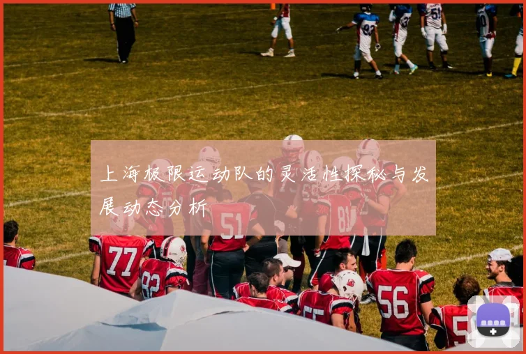 上海极限运动队的灵活性探秘与发展动态分析