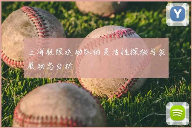 上海极限运动队的灵活性探秘与发展动态分析