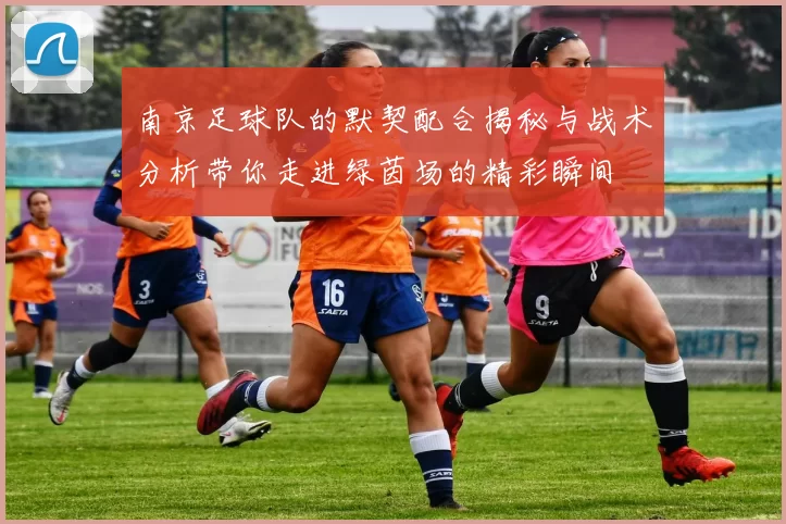 南京足球队的默契配合揭秘与战术分析带你走进绿茵场的精彩瞬间