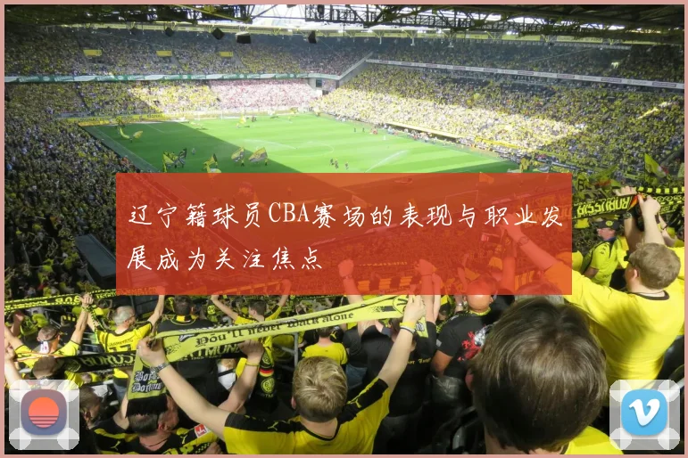 辽宁籍球员CBA赛场的表现与职业发展成为关注焦点